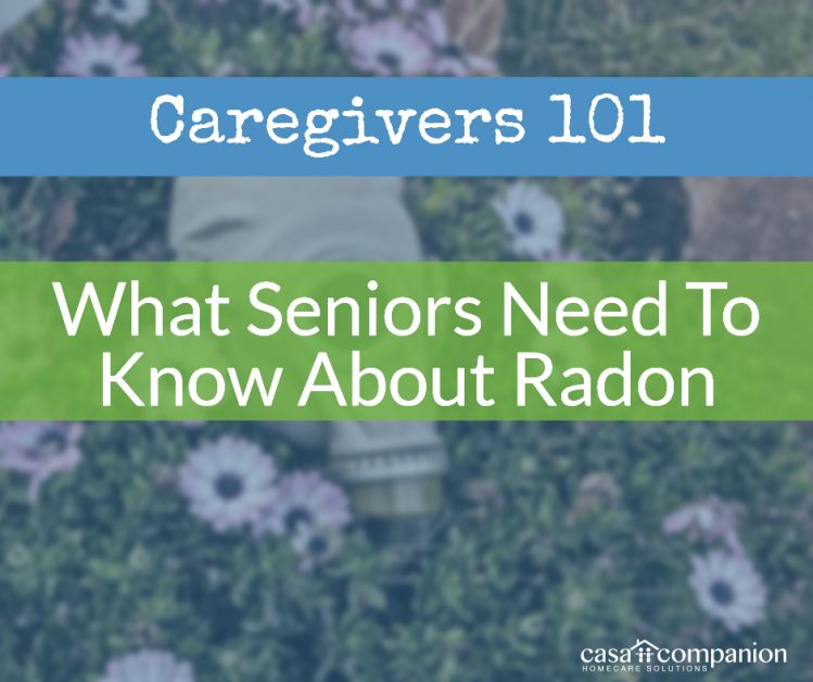 Casa-Radon-Caregivers-101-5c3786cb887d6